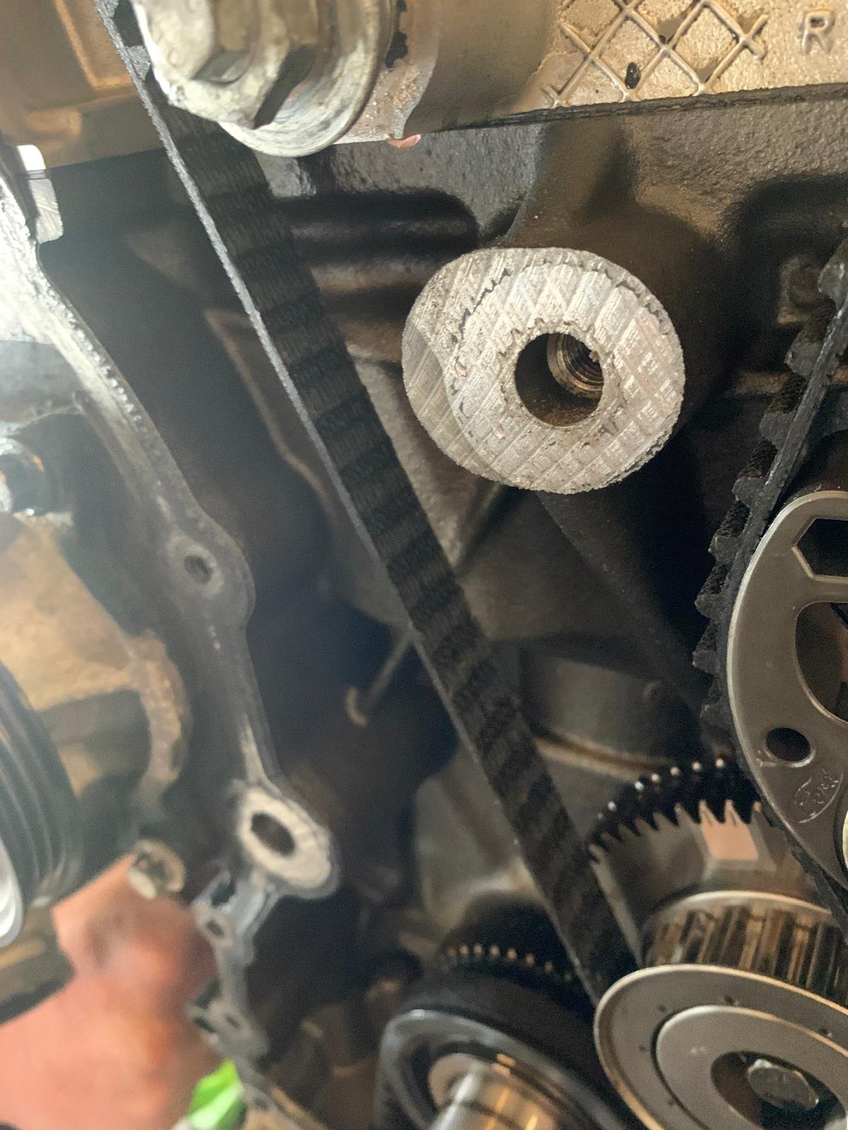 wet belt horror gallery